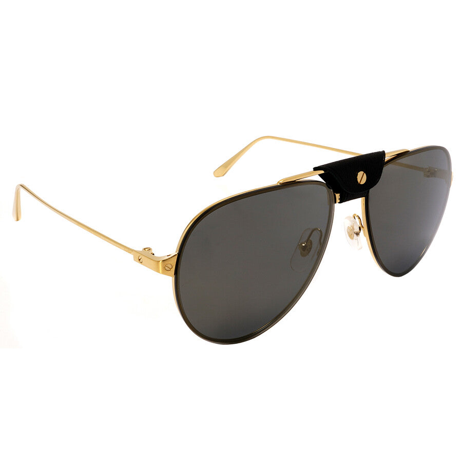 Cartier CT0166S | Men