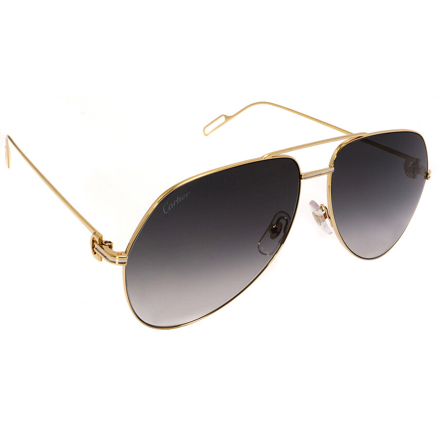 Cartier CT0110S | Unisex