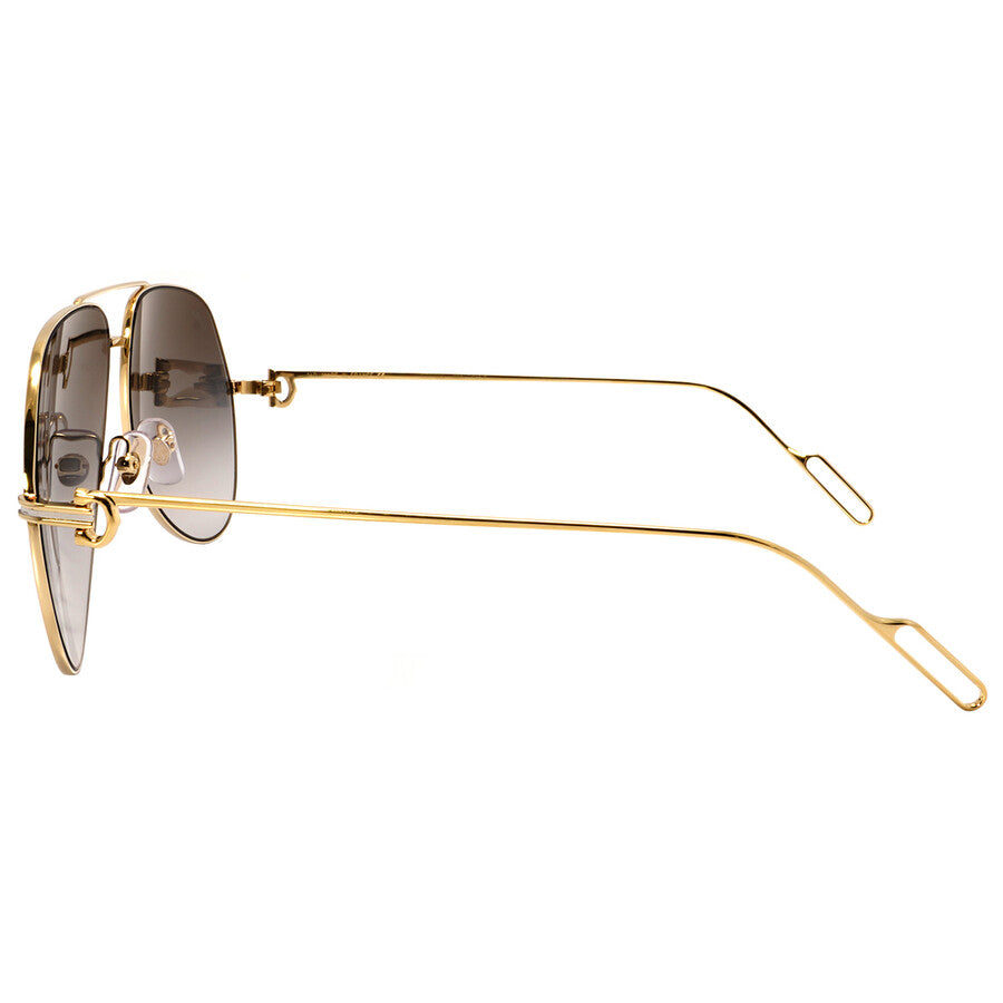 Cartier CT0110S | Unisex
