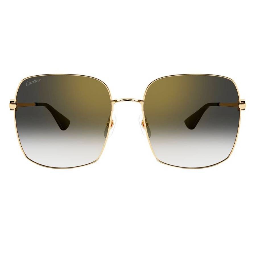 Cartier CT0401S | Women