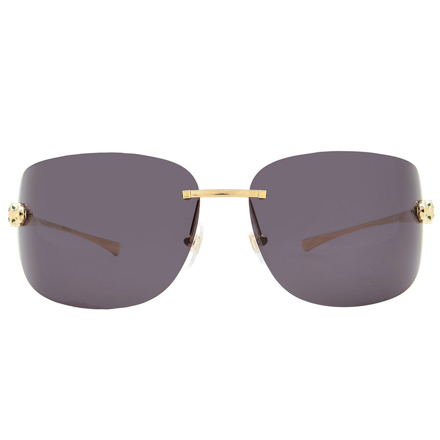 Cartier CT0266S | Men