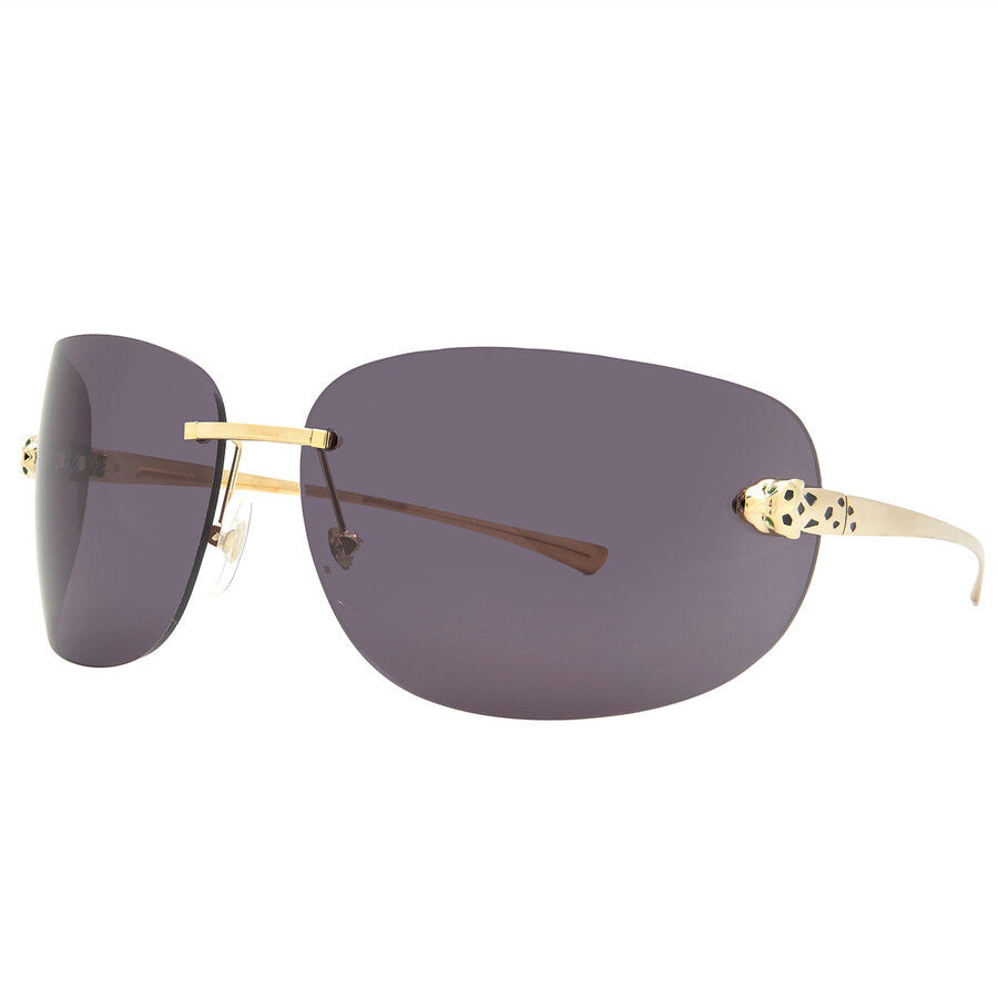Cartier CT0266S | Men
