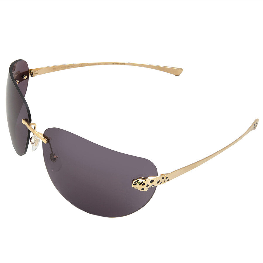 Cartier CT0266S | Men