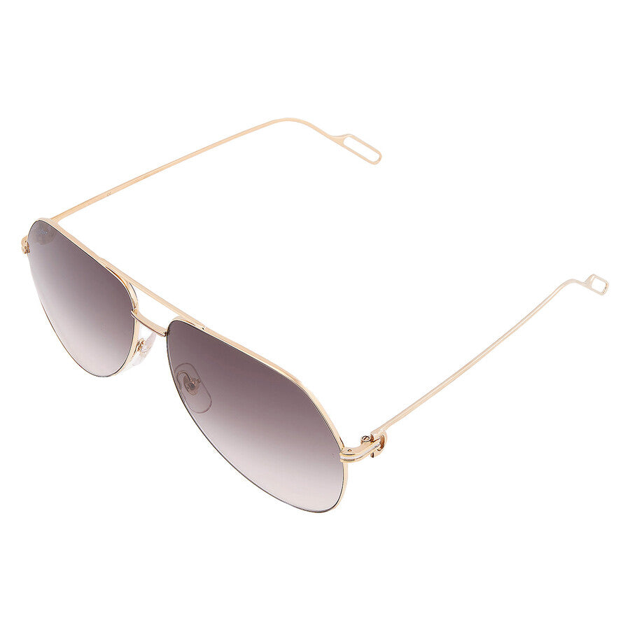Cartier CT0110S | Unisex