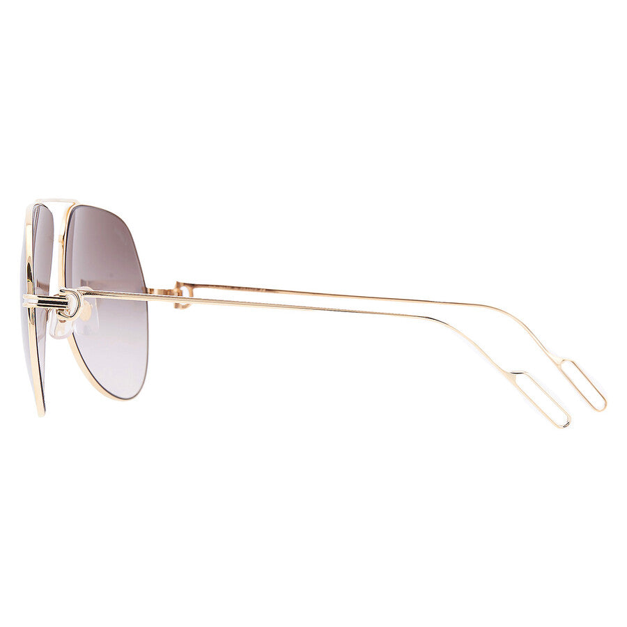 Cartier CT0110S | Unisex