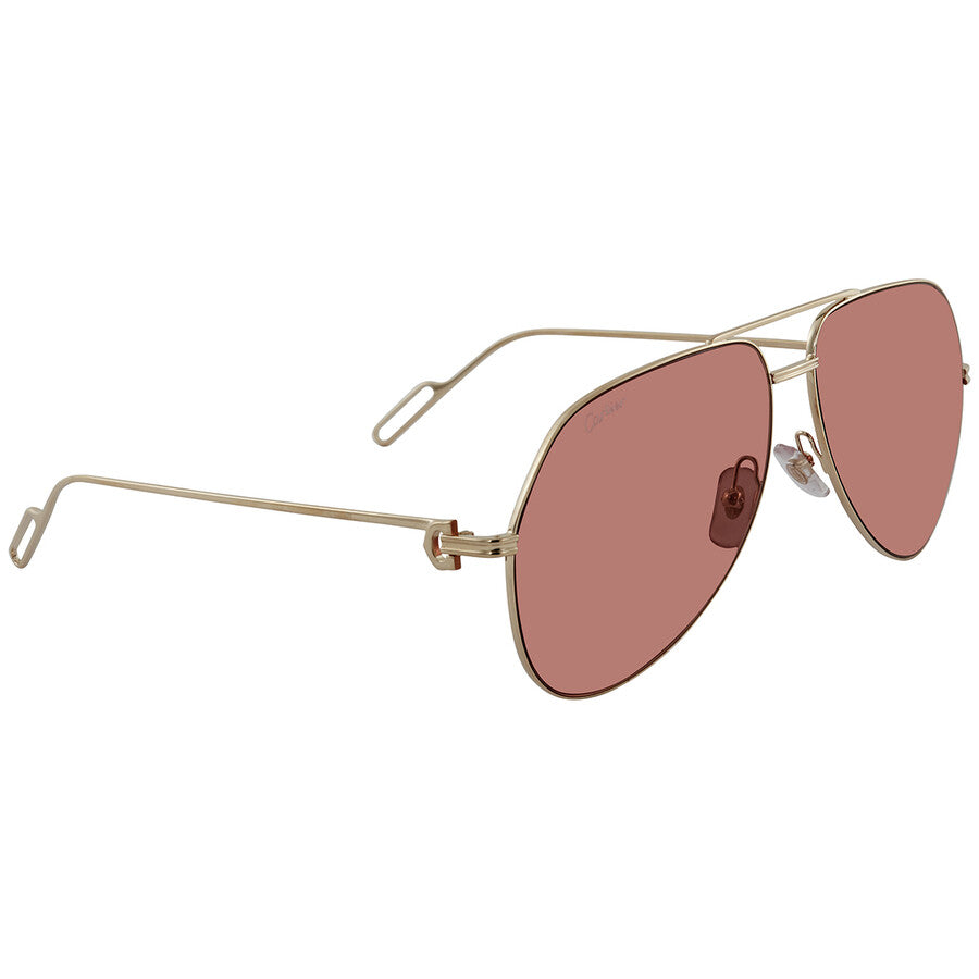 Cartier CT0110S | Unisex
