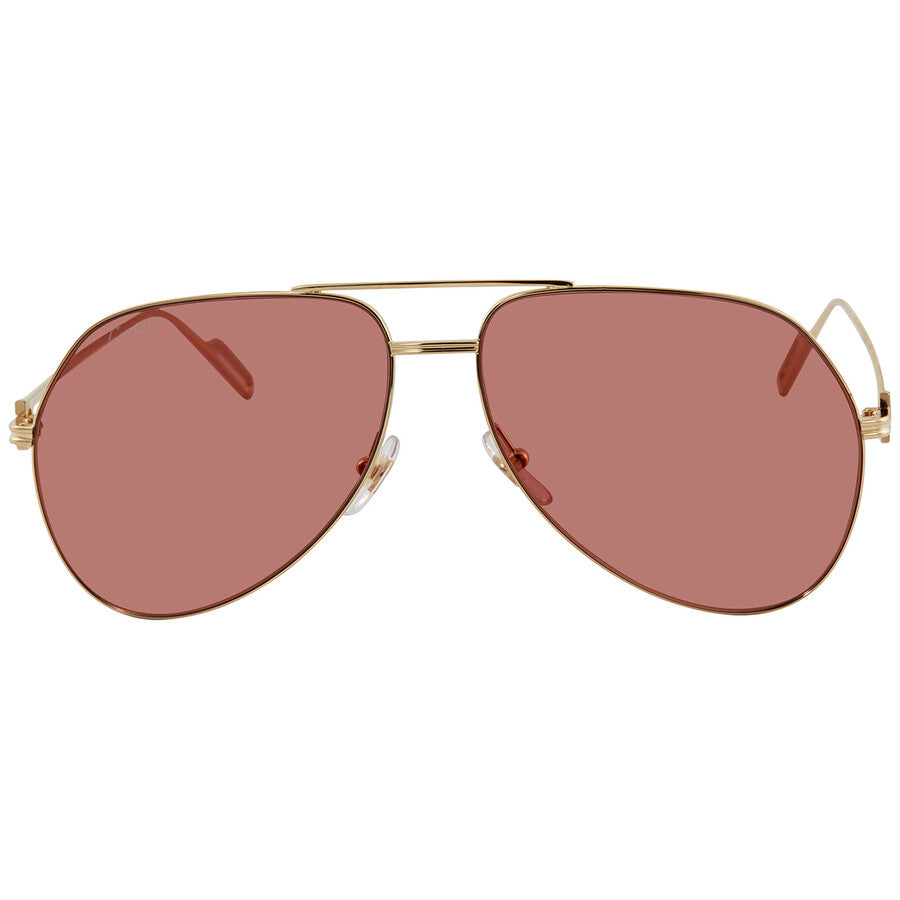 Cartier CT0110S | Unisex
