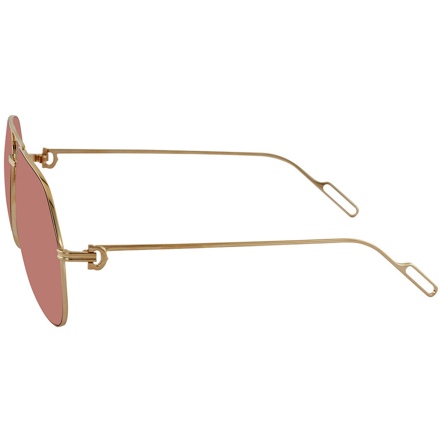 Cartier CT0110S | Unisex