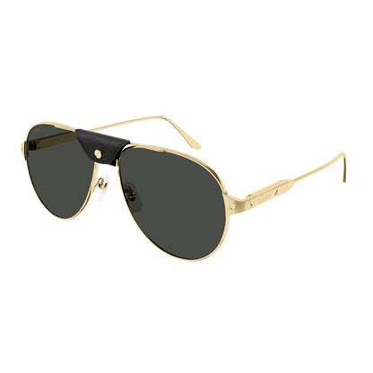 Cartier CT0387S | Men