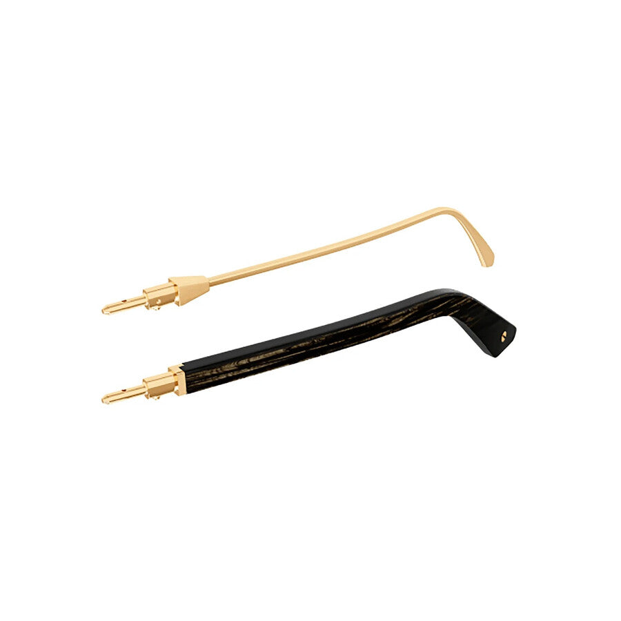 Cartier CT0387S | Men