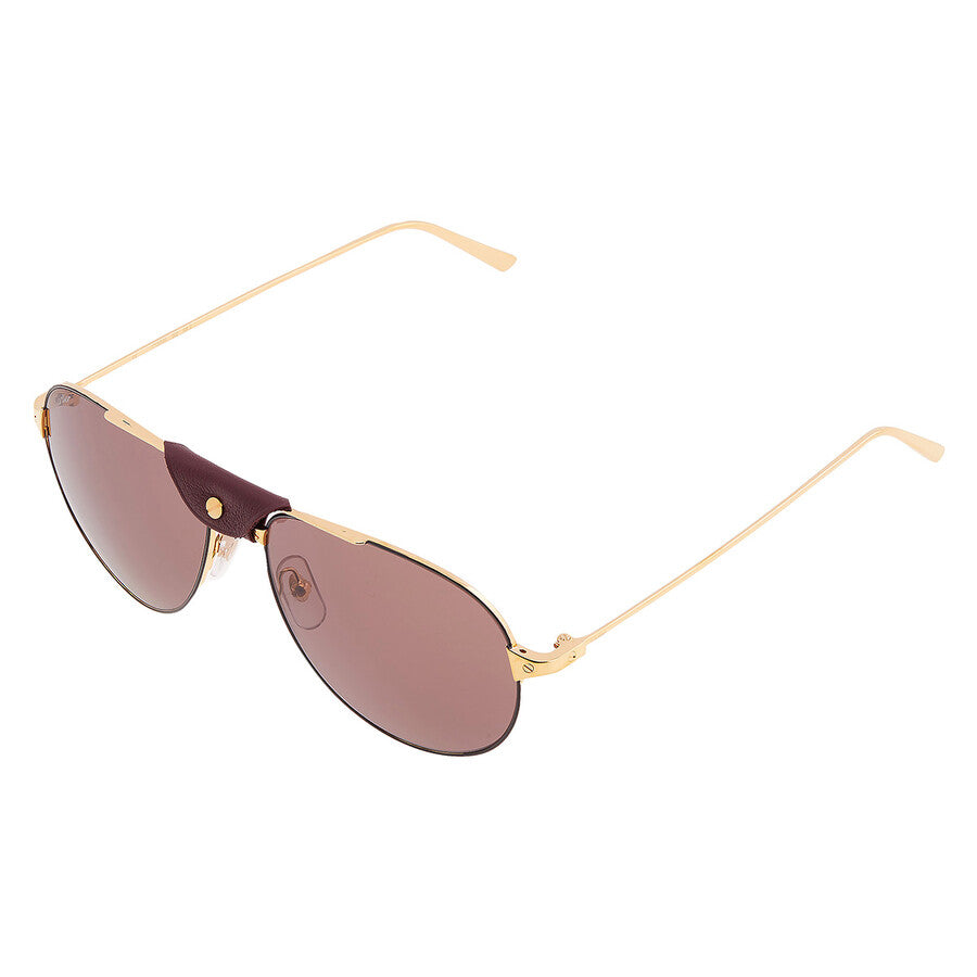 Cartier CT0038S | Men