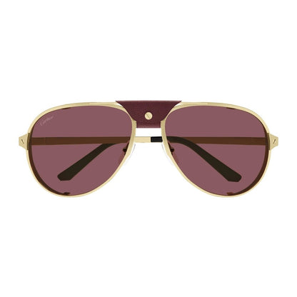 Cartier CT0296S-006 61