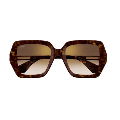 Cartier CT0507S-002 54