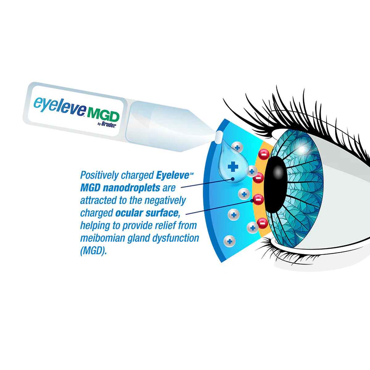 Eyeleve MGD Preservative-Free Eye Drops – 30 Single-Use Vials