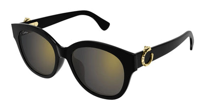 Cartier CT0680SK-001 56