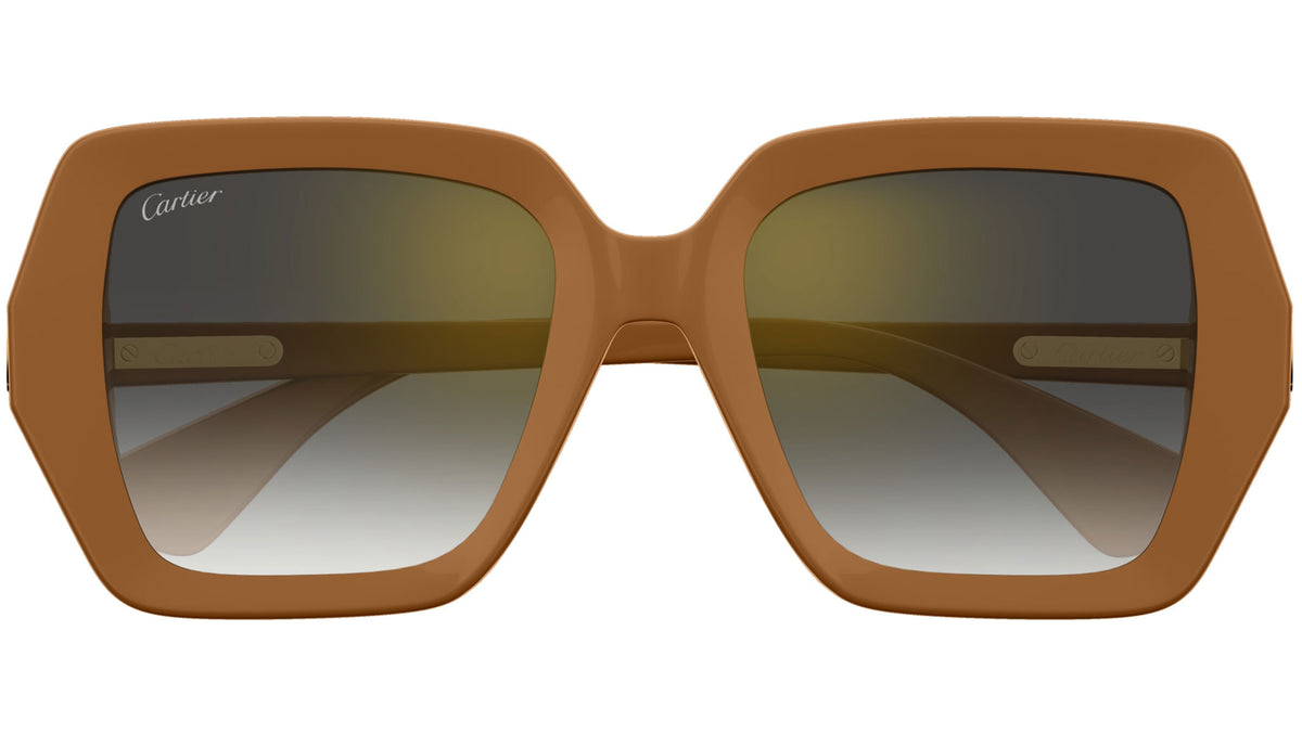 Cartier CT0507S-004 54