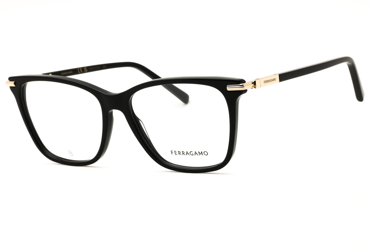 Salvatore Ferragamo SF3013-001 55