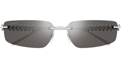 Cartier CT0544S-003 58