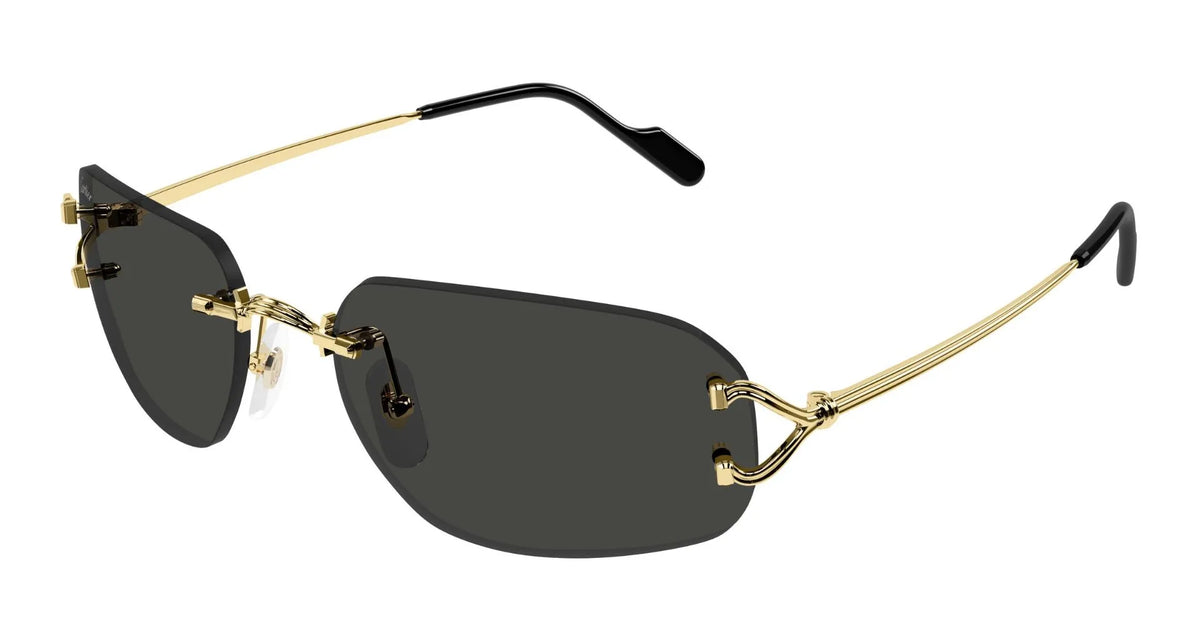 Cartier CT0663S-001 58