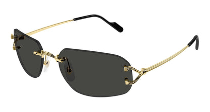 Cartier CT0663S-001 58