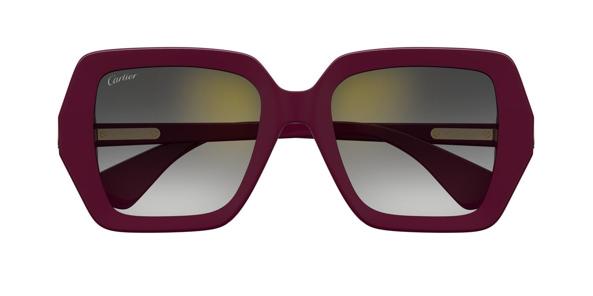 Cartier CT0507S-003 54