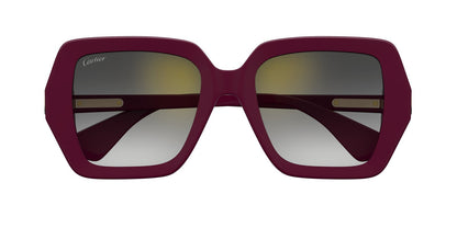 Cartier CT0507S-003 54
